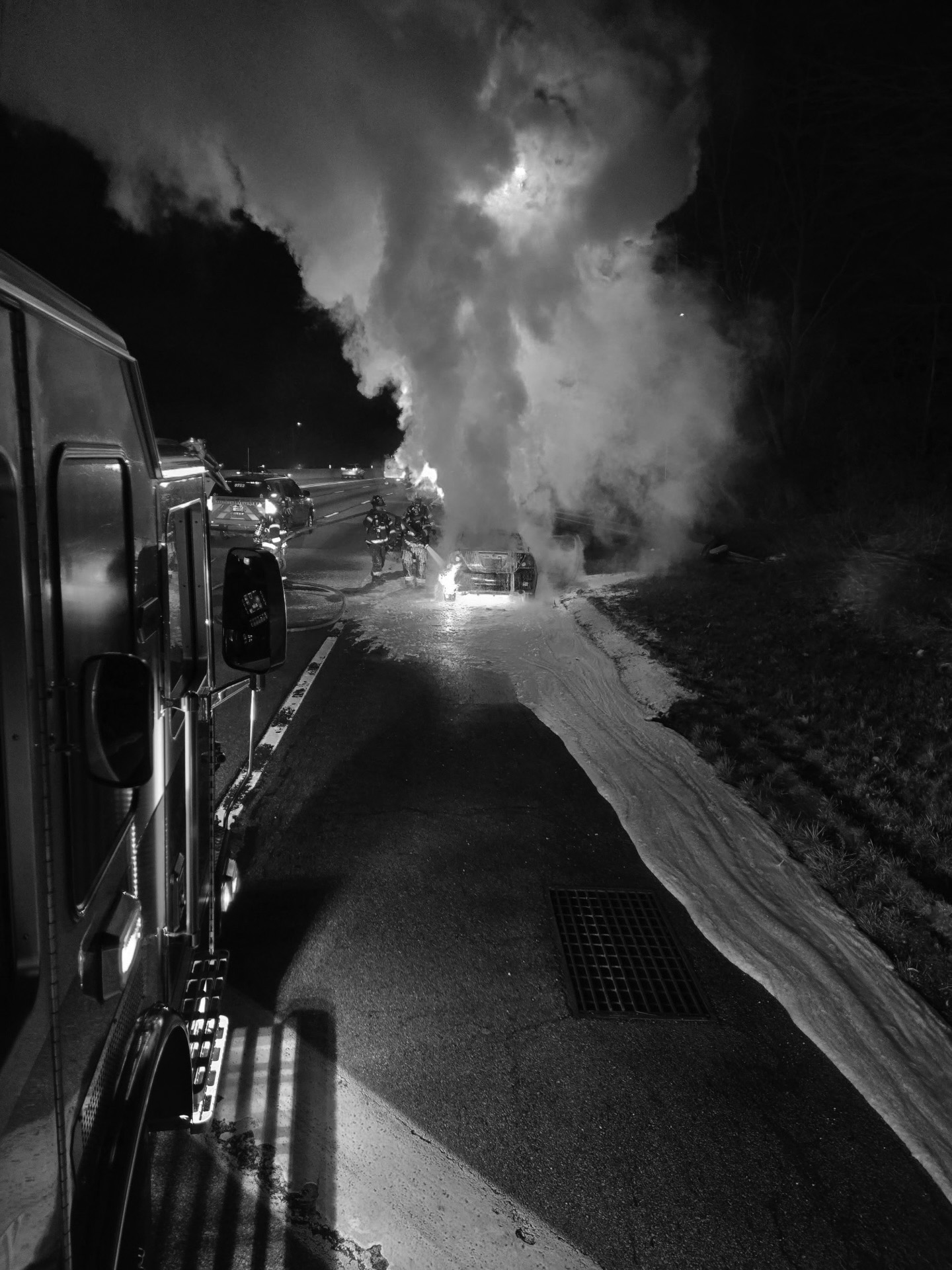 MLFD