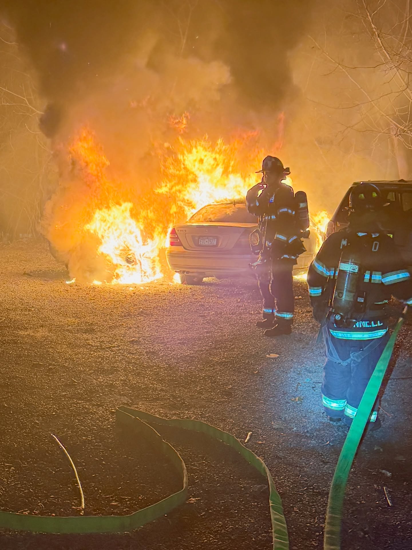 MLFD